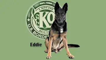 In Memoriam photo of K9 Eddie, CBP, US Border Patrol