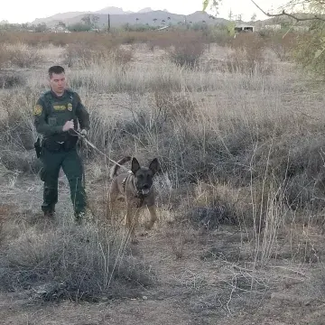In Memoriam photo of K9 Tough in field with handler, CBP, US Border Patrol