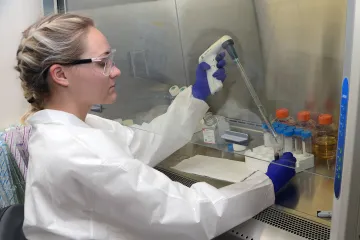 Scientist at the S&T Plum Island Animal Disease Center (PIADC) lab isolates swine macrophages, a type of white blood cells, to be used for ASFV research. 