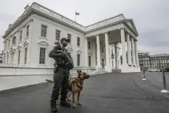 Secret Service Man Holding Gun, Standing with Service Dog