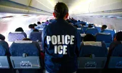 ICE agent observing passengers on an airplane
