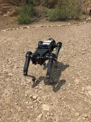 A black 4-legged metallic robot dog is walking down a slight decline. It is a dry, rocky, harsh terrain. The shadow cast by the robot dog indicates the Sun is nearly directly overhead. There are some trees with sparse foliage in the background. 