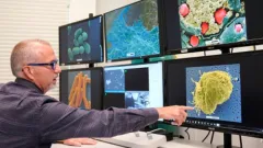 Scientist pointing to image of virus on monitor
