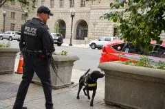 FPS Explosives Detection Canine Team