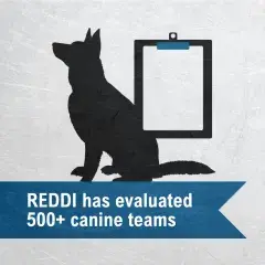 REDDI has evaluated 500+ canine teams 