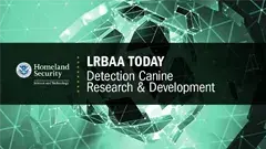 LRBAA Today Detection Canine Research & Development