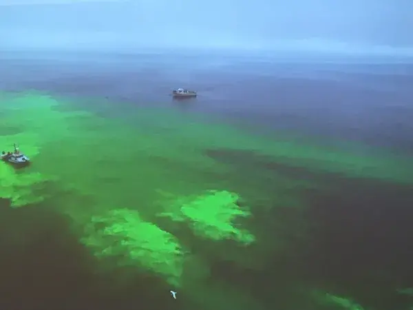 Researchers simulated an oil spill by releasing a neon green biodegradable dye from a vessel of the Monterey Bay Aquarium Research Institute (left), while representatives from the Coast Guard, ADAC, WHOI, S&T and other organizations watched from another boat on the right. Photo by U.S. Coast Guard.