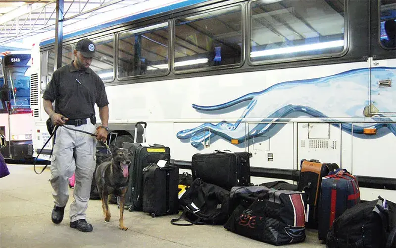 Officer with K-9 performing baggage inspection