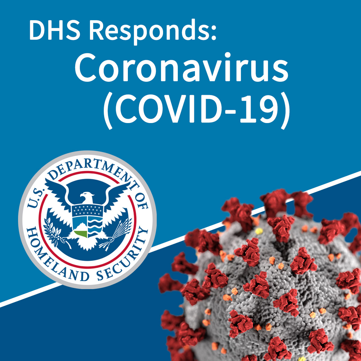 Coronavirus Covid 19 Homeland Security